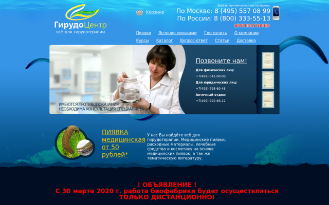 пиявки пиявки